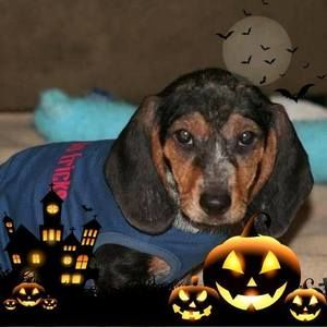 Meet your Posher, Tina